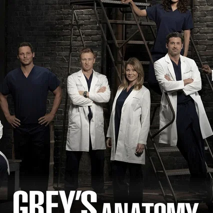 Photo de la saison 6 : Grey's Anatomy