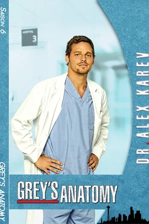 Photo de la saison 6 : Grey's Anatomy