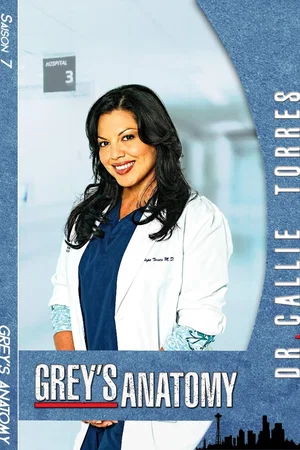 Photo de la saison 7 : Grey's Anatomy
