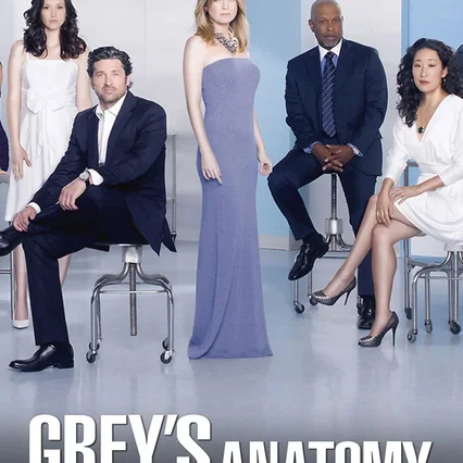 Photo de la saison 8 : Grey's Anatomy