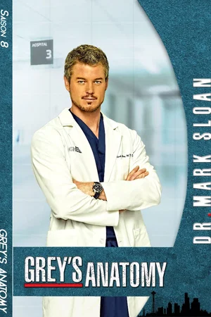 Photo de la saison 8 : Grey's Anatomy