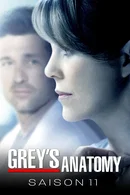 Affiche de Saison 11