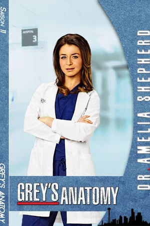 Photo de la saison 11 : Grey's Anatomy