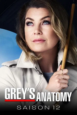 Affiche de Saison 12