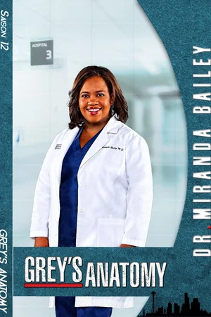 Photo de la saison 12 : Grey's Anatomy