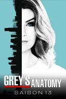 Affiche de Saison 13