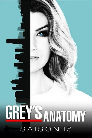 Affiche de Saison 13