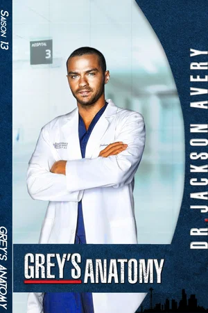 Photo de la saison 13 : Grey's Anatomy