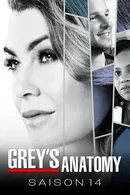 Affiche de Saison 14