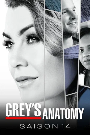 Affiche de Saison 14