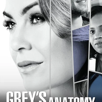 Photo de la saison 14 : Grey's Anatomy
