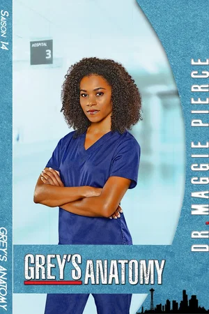 Photo de la saison 14 : Grey's Anatomy