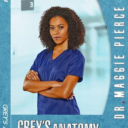 Photo de la saison 14 : Grey's Anatomy