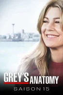 Affiche de Saison 15
