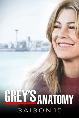 Affiche de Saison 15