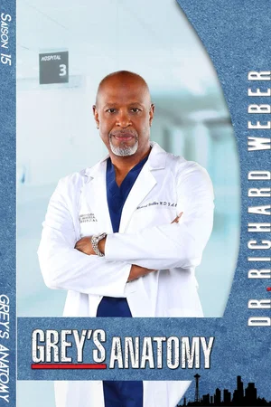 Photo de la saison 15 : Grey's Anatomy