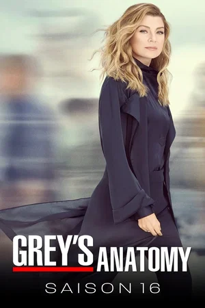 Affiche de Saison 16