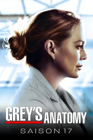 Affiche de Saison 17