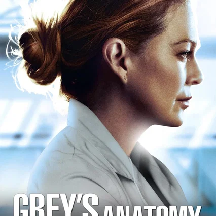 Photo de la saison 17 : Grey's Anatomy