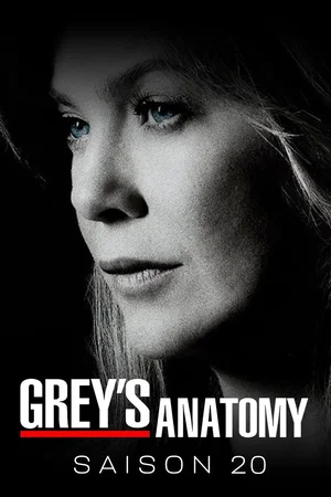 Affiche de Saison 20
