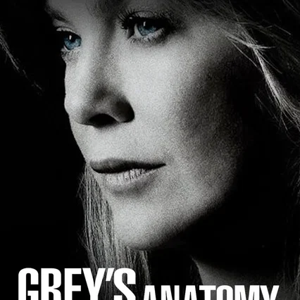 Photo de la saison 20 : Grey's Anatomy