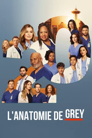 Photo de la saison 20 : Grey's Anatomy