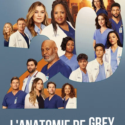 Photo de la saison 20 : Grey's Anatomy