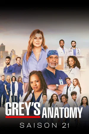 Photo de la saison 21 : Grey's Anatomy
