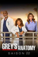 Affiche de Saison 22