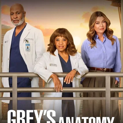 Photo de la saison 22 : Grey's Anatomy