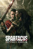 Affiche de Saison 1