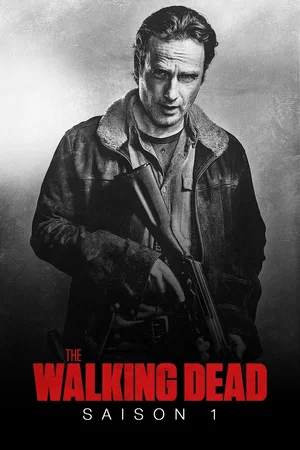 Affiche de Saison 1