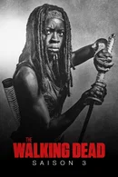 Affiche de Saison 3