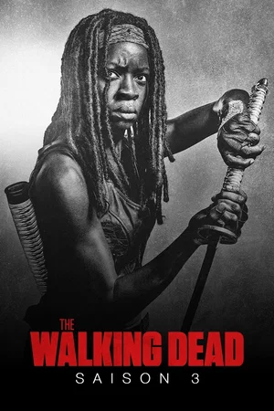 Affiche de Saison 3