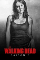 Affiche de Saison 5