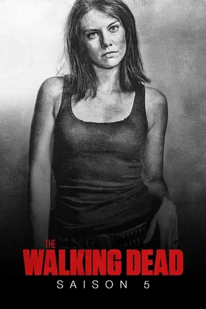 Affiche de Saison 5