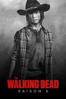 Affiche de Saison 6