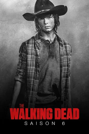 Affiche de Saison 6