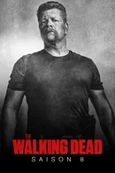 Affiche de Saison 8