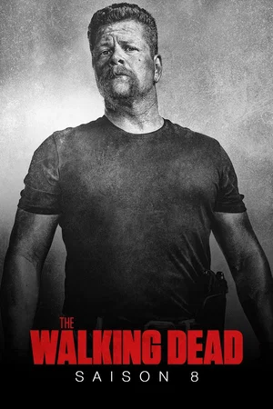 Affiche de Saison 8