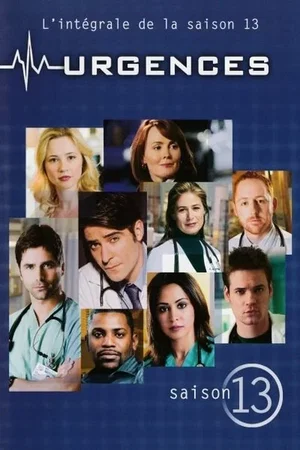 Affiche de Saison 13