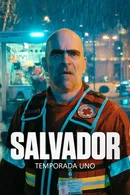 Affiche de Saison 1
