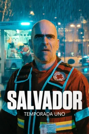 Affiche de Saison 1