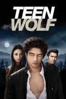 Affiche de Saison 1
