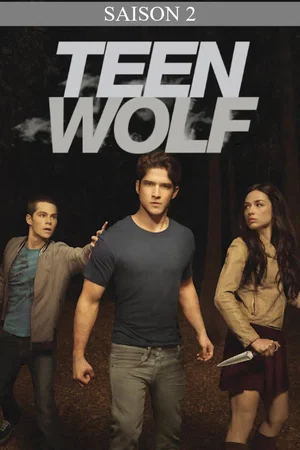Affiche de Saison 2