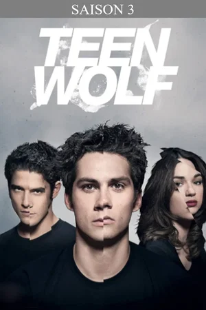 Affiche de Saison 3