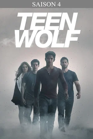 Affiche de Saison 4