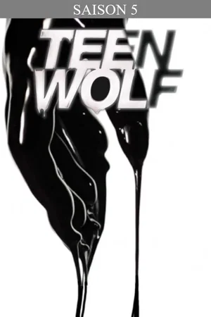 Affiche de Saison 5