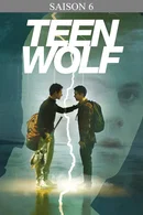 Affiche de Saison 6