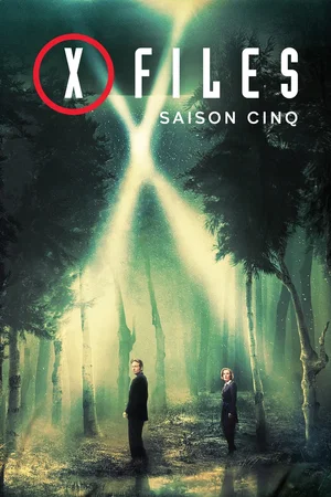 Affiche de Saison 5